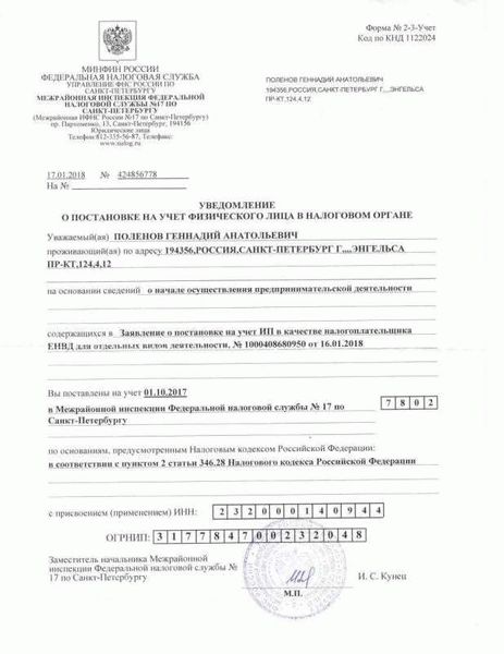Перспективы развития индивидуального предпринимательства в России