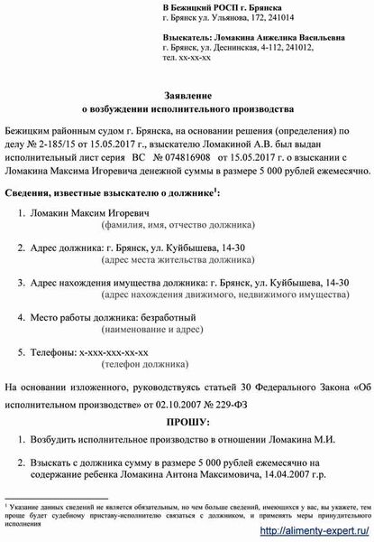 Требования к заявлению о возбуждении исполнительного производства